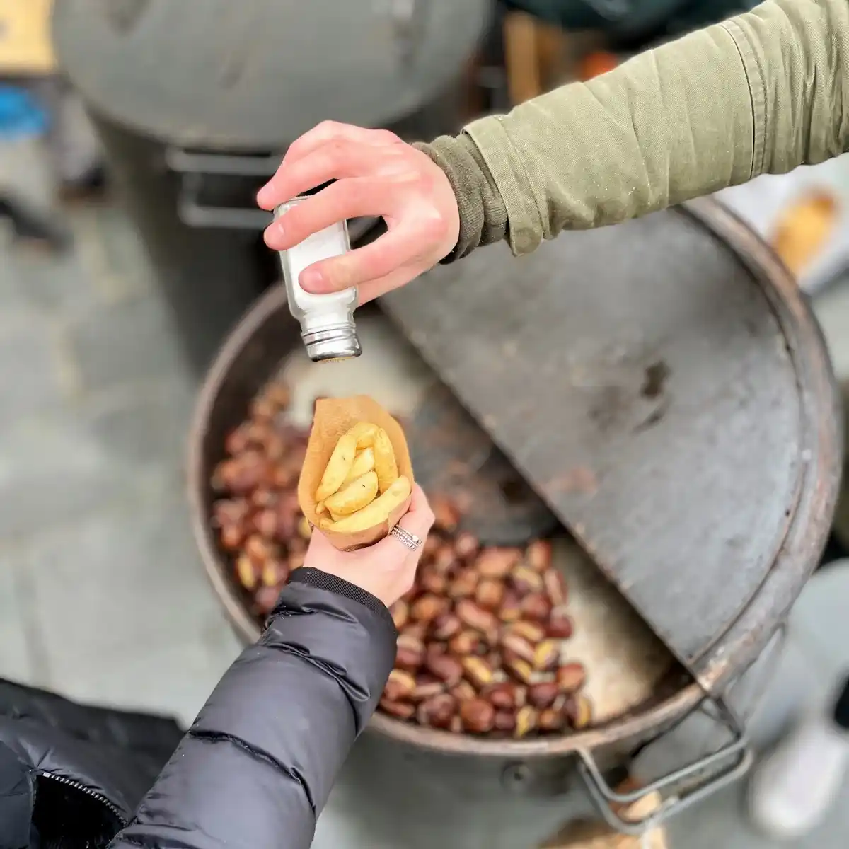 maroniroester-referenzbild (23)